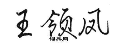 駱恆光王領鳳行書個性簽名怎么寫