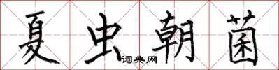 何伯昌夏蟲朝菌楷書怎么寫