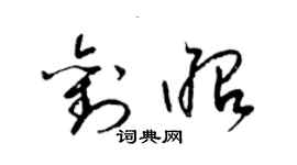 梁錦英劉昭草書個性簽名怎么寫