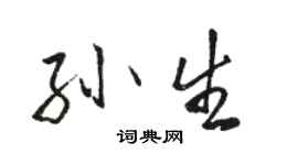 駱恆光孫生行書個性簽名怎么寫