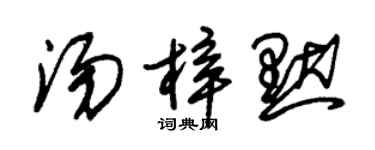 朱錫榮湯梓默草書個性簽名怎么寫