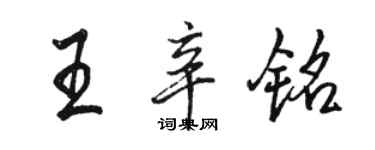 駱恆光王辛銘行書個性簽名怎么寫