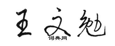 駱恆光王文勉行書個性簽名怎么寫