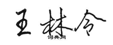 駱恆光王林令行書個性簽名怎么寫