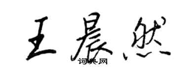 王正良王晨然行書個性簽名怎么寫