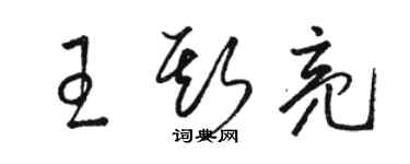 駱恆光王斯亮草書個性簽名怎么寫