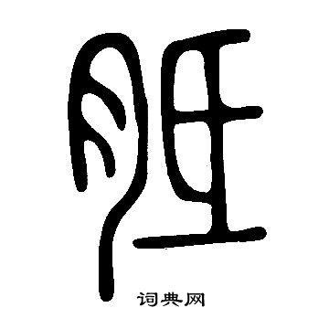 說文解字寫的胝