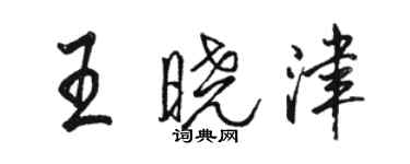 駱恆光王曉津行書個性簽名怎么寫