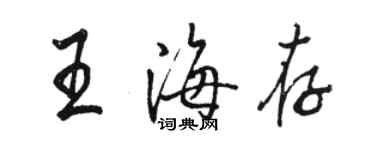 駱恆光王海存行書個性簽名怎么寫