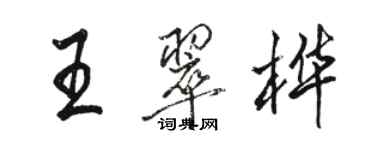 駱恆光王翠樺行書個性簽名怎么寫