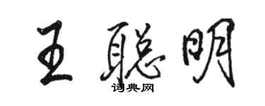 駱恆光王聰明行書個性簽名怎么寫