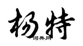 胡問遂楊特行書個性簽名怎么寫