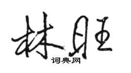 駱恆光林旺行書個性簽名怎么寫