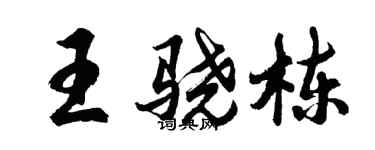 胡問遂王驍棟行書個性簽名怎么寫