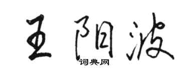 駱恆光王陽波行書個性簽名怎么寫