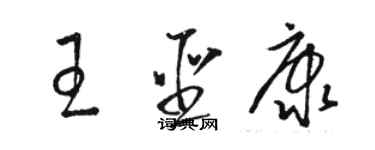 駱恆光王聖康草書個性簽名怎么寫