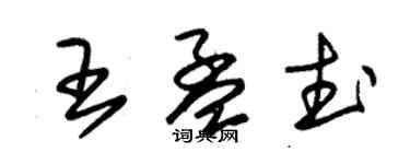 朱錫榮王孟武草書個性簽名怎么寫