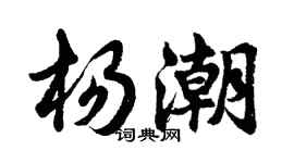 胡問遂楊潮行書個性簽名怎么寫