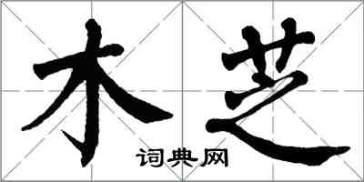 翁闓運木芝楷書怎么寫