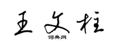梁錦英王文柱草書個性簽名怎么寫