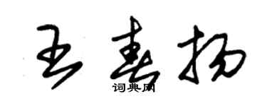 朱錫榮王春揚草書個性簽名怎么寫