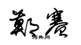 朱錫榮鄭賽草書個性簽名怎么寫