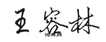 駱恆光王容林行書個性簽名怎么寫