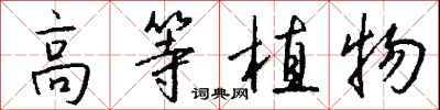 錢沛雲高等植物行書怎么寫