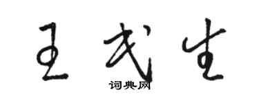 駱恆光王民生草書個性簽名怎么寫