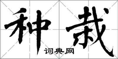 翁闓運種栽楷書怎么寫