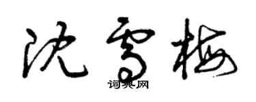 曾慶福沈雪梅草書個性簽名怎么寫