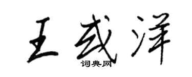 王正良王或洋行書個性簽名怎么寫