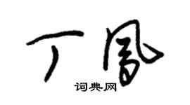 朱錫榮丁鳳草書個性簽名怎么寫