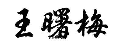 胡問遂王曙梅行書個性簽名怎么寫
