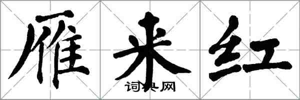 翁闓運雁來紅楷書怎么寫