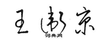 駱恆光王衛京草書個性簽名怎么寫