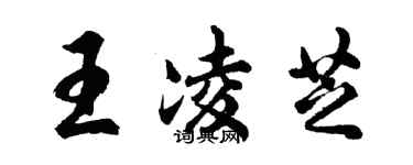 胡問遂王凌芝行書個性簽名怎么寫
