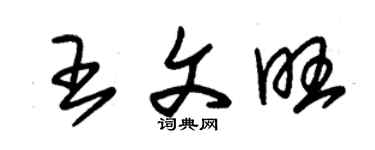 朱錫榮王文旺草書個性簽名怎么寫