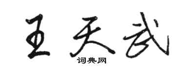 駱恆光王天武行書個性簽名怎么寫