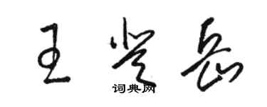 駱恆光王登岳草書個性簽名怎么寫