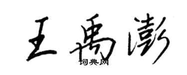 王正良王禹澎行書個性簽名怎么寫