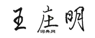 駱恆光王莊明行書個性簽名怎么寫