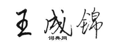 駱恆光王成錦行書個性簽名怎么寫