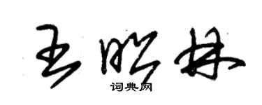 朱錫榮王昭林草書個性簽名怎么寫
