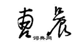 曾慶福曹晨草書個性簽名怎么寫