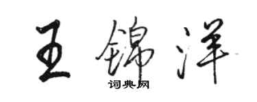 駱恆光王錦洋行書個性簽名怎么寫