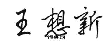 駱恆光王想新行書個性簽名怎么寫