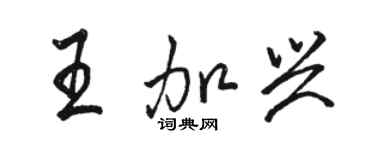 駱恆光王加興行書個性簽名怎么寫