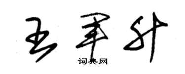 朱錫榮王軍升草書個性簽名怎么寫