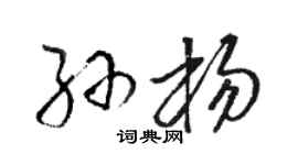 駱恆光孫楊草書個性簽名怎么寫